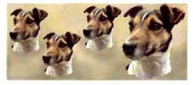 Dog Wrap - Jack Russell Smoot